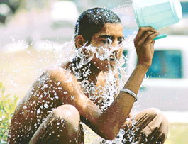 A splash of life in the scorching sun. 