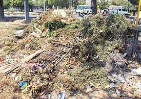 Heaps of garbage 