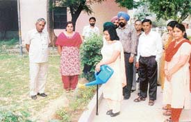 The Senior Superintendent of Post Offices, Ms Manisha Badal, plants a tree on the Ludhiana Head Post Office complex on Earth Day on Friday