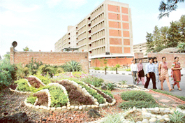 The landscaping at Savitri Bai Phule Hostel at Panjab University is the result of the joint effort of Ms Veena Sachdeva, Warden, and the hostel girls.