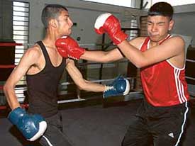 Pugilists practising at the Boxing Training Centre, Sector 42, Chandigarh