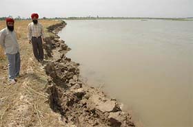 Residents of Chakoki village show soil erosion of their agricultural land on the banks of the Beas on the Kapurthala side