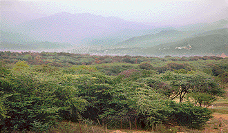 The Shivalik Environmental Park: The Army creates a breathing space in a concrete jungle.