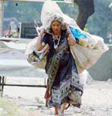 Unmindful of the International Labour Day being observed on Sunday, this migrant woman carries her burden alone to make two ends meet in Ludhiana