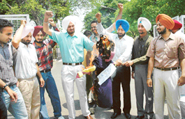 PUSU members burning an effigy of a teacher outside PU VCs office in Chandigarh 