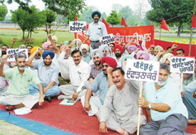 Members of the PAU Employees’ Union stage a dharna against the bifurcation of the PAU on the university campus in Ludhiana on Tuesday