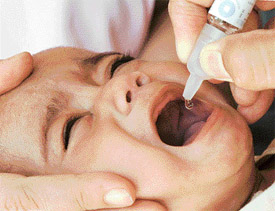 An infant being given polio drops during the second phase of the pulse polio campaign in Ludhiana on Sunday