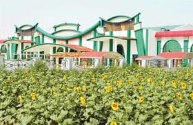 Fancy resorts are coming up on lands that were being used for agricultural purposes only