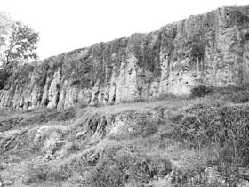 The excavated site at Bara village in Ropar in a state of neglect