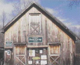 The Vegan Peace Animal Sanctuary