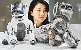 A woman admires the latest model of AIBO, ERS-7M2 (L), and its skeleton-model, ERS-7 (R), of Japans Sony Corporation in Tokyo on Sunday. Sony will sell the new model at 185,000 yen ($ 1,700) but the skeleton model is not for sale.