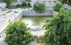 Improvement Trust swimming pool in a state of neglect. 