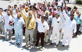 Principals of various schools on their way to the Deputy Commissioners camp office to submit a memorandum in Ludhiana on Saturday