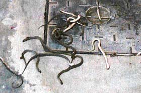 Some of the snakes killed by residents of Mundi Kharar, near Mohali