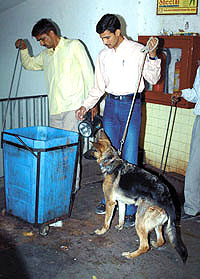 Jawans of Delhi Police Dog Squad inspecting Palika Bazar, Connaught Place in the Capital on Monday