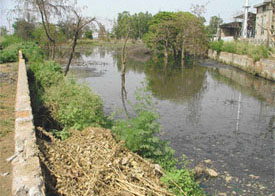 A park in Dhandari Khurd that remains inundated with sewage