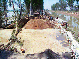The breach in the Kasoor branch of the UBDC canal that led to the inundation of five villages.