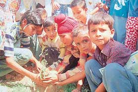Children plant a sapling at Sai Grace Public School in Dera Bassi on Saturday.