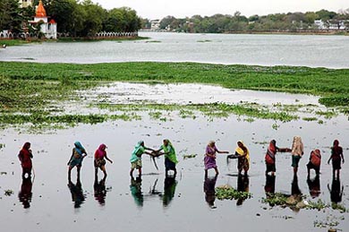 Labourers busy removing water hyacinth from the lower lake