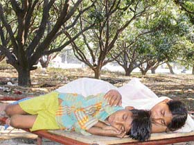 A boy and his sister take shelter in the mango grove on Udyog Path as the mercury rose further in Chandigarh