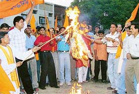 Activists of the VHP burn the effigy of BJP President L.K. Advani in Chandigarh on Sunday for his reported remarks on M.A. Jinnah during his Pakistan visit