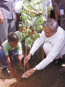 Delhi Lt-Governor B. L. Joshi planting a sapling at Lodhi Garden in the Capital
