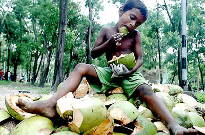 A boy sits on a pile of discarded coconut shells in Dhaka on Thursday