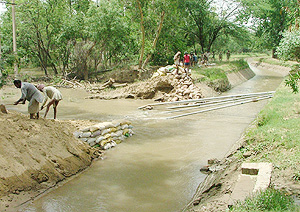 A view of the Bathinda distributary that got damaged in a fierce duststorm that hit the city on Thursday. 