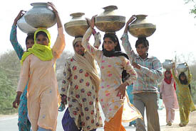 Villagers on their way back home after fetching potable water from a distant place in Jind district of Haryana