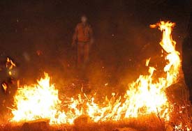 A fireman tries to control a forest fire near the Sankat Mochan Temple in Shimla on Sunday night.