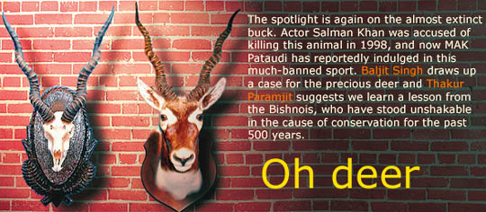 Oh deer
