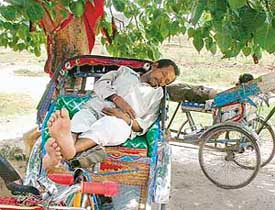 A little shade and a little rest may revive the sagging spirits of a rickshaw-puller on a sweltering hot day in Chandigarh
