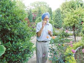 Ram Singh Dhesi makes his point about trees while taking a walk in his garden at Lambran village