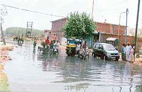 Sewerage water accumulates on a road of B Block, Choti Haibowal, Ludhiana