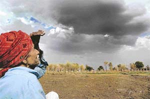 When will it rain? This farmer seems to be thinking as he looks towards an overcast sky on the outskirts of Bhopal