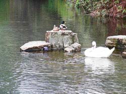 Hyde Park, a must-see on every tourists itinerary