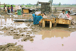 Displaced residents of Guru Nanak Colony, Mohali, in their new home in Jagatpura village on Sunday.