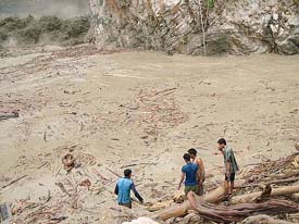 Villagers collect logs of timber brought by the raging Sutlej at Kalyan village near Mandi on Monday.