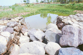 A damaged stud in one of the most vulnerable sites prone to floods at Madhepura village in Ludhiana on Monday