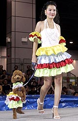 A Thai model walks with a poodle on the ramp during a Thailand Dog Show, 2005, in Bangkok on Wednesday