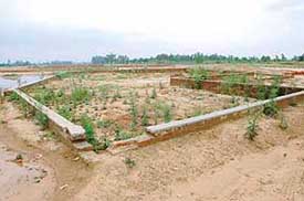 Plots have been earmarked in a residential colony coming up at Raipur Rani