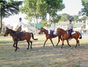 Taking life at an easy trot
