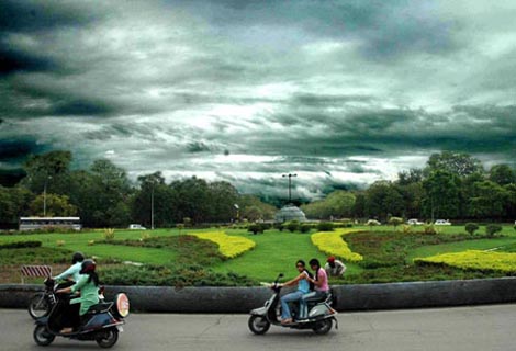 Grassy lawns, lush green roundabouts, wide and well-lit roads, landscape gardening and luxuriant vegetation -all these elements combine together to make Chandigarh a City Beautiful. The picture shows Nature's bounty at the Matka Chowk in Chandigarh on Wednesday.