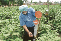 An agriculturist in Sammipur village conducts a survey of his farm that promises only organic produce.