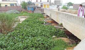 Budha Nullah on Jail Road filled with silt and water hyacinth, even as the civic body claims to have cleaned it
