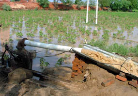 Water being pumped out of a field near Talwandi Sabo on Saturday. 