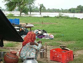 A woman, forced to abandon her house, puts up in a tent near Gaibipur village in Hisar district on Wednesday.