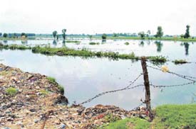 Fields in Balloke village inundated by Buddha Nullah waters in Ludhiana on Wednesday.