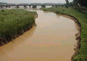 A view of the Beas, near Dhilwan, where the distance between the river and the Dhussi bundh has been reduced to 20 feet.