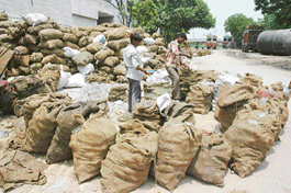 Bottles of a distillery lying in the open in Industrial Area Phase II in Chandigarh on Sunday.